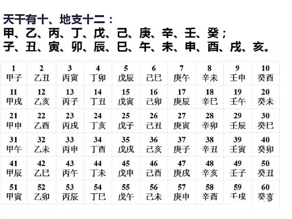 2023年兔年是什么命五行属什么老黄历(3)