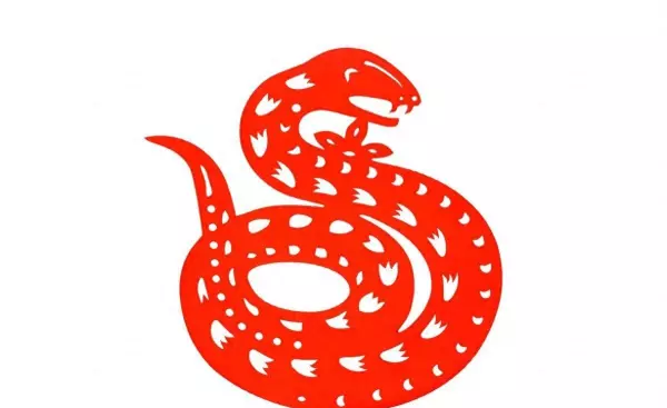 属蛇跟属虎的夫妻2022运势好不好呀女生(1)