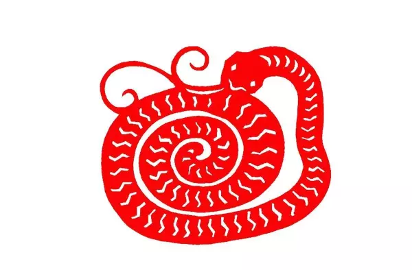 属蛇跟属虎的夫妻2022运势好不好呀女生(2)