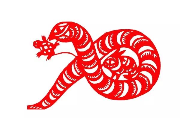 属蛇跟属虎的夫妻2022运势好不好呀女生(4)