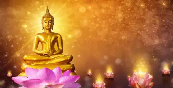 79年属羊2021年的运势和财运怎么样(3)