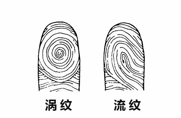 男人五个斗五个簸箕什么命(1)
