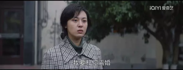 大江大河宋运辉和程开颜什么时候离婚(12)