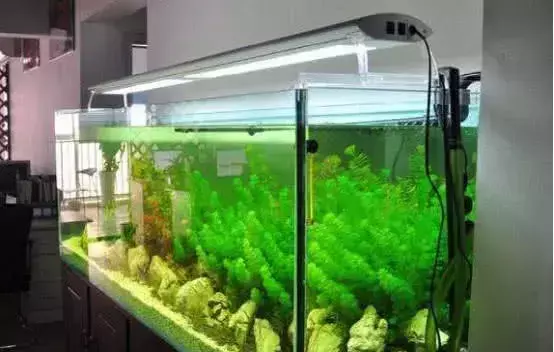 用自己生辰八字开光的东西能送人吗(3)