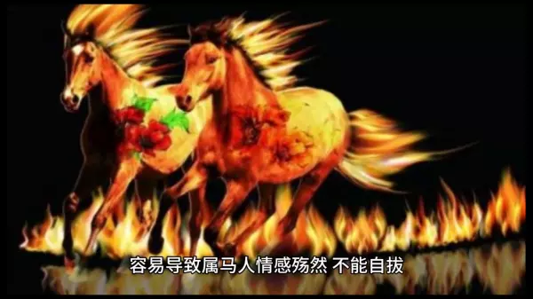 1978年属马人后半生运势如何样呀女生(2)