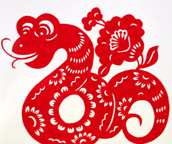 算命的说属蛇的有口是啥意思是什么(2)