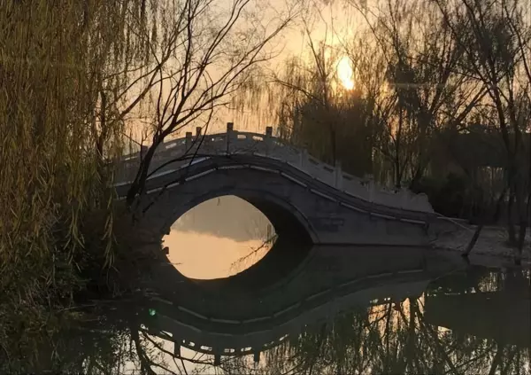 74生肖虎2022运势坐在什么方位(1)