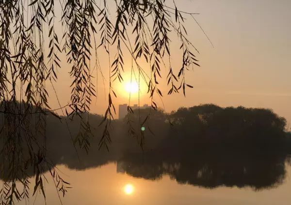 74生肖虎2022运势坐在什么方位(3)