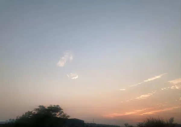 74生肖虎2022运势坐在什么方位(4)