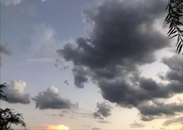 74生肖虎2022运势坐在什么方位(5)