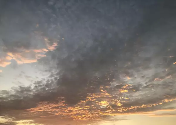 74生肖虎2022运势坐在什么方位(9)