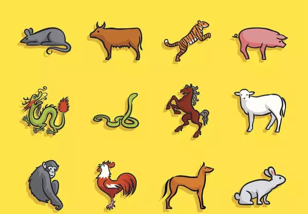 夫妻八字合不合,看什么地方(4)