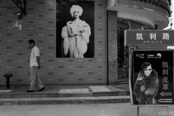 崇福镇2023年有多少外来人口(1)