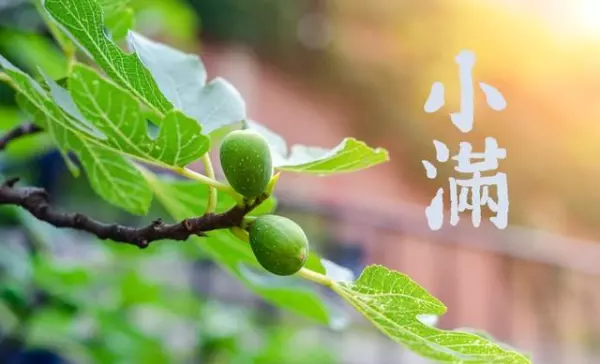 2001年农历4月初3公历是几月几日(3)