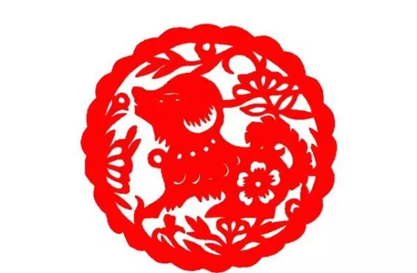 82年的生肖狗在2024运势怎么样呢女孩(3)