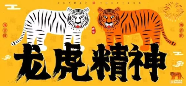 1998属虎人的后半生命运如何呢(1)