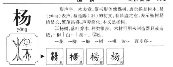 杨多少笔画数字怎么写(3)