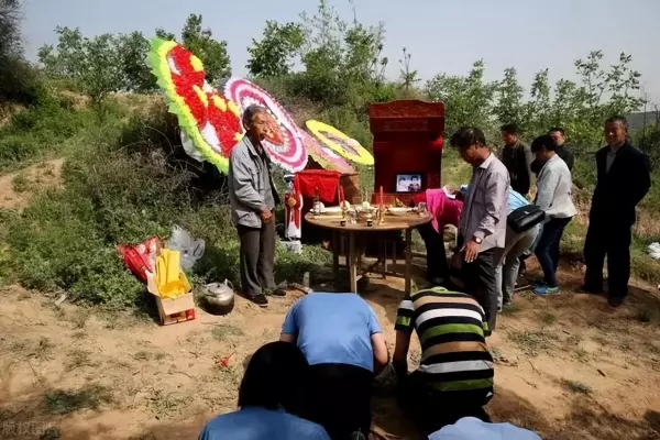 算命说的先结果后开花是什么意思(2)