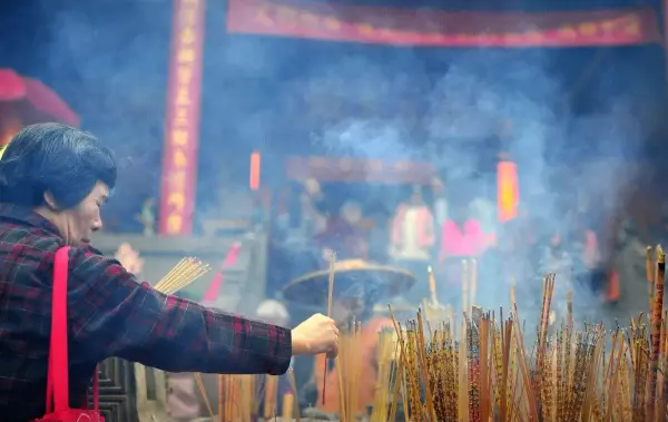 算命说的先结果后开花是什么意思(4)