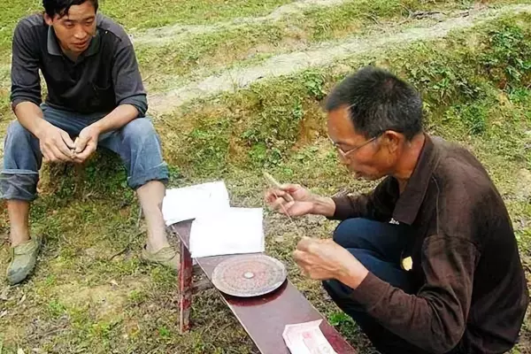 算命说的先结果后开花是什么意思(5)