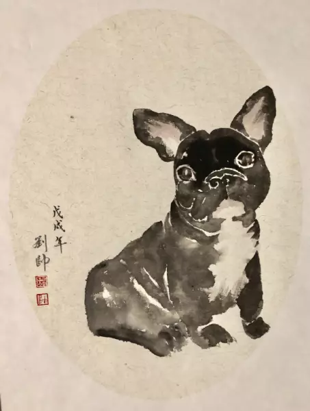 70年生肖狗的天蝎座2023年运势怎么样呢(1)