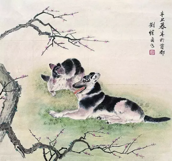 70年生肖狗的天蝎座2023年运势怎么样呢(6)