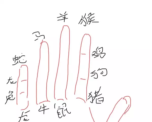 属相老鼠今年多大了,怎么算(1)