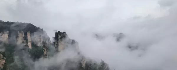 梦见孩子被大鹅追着咬是什么意思周公解梦(2)