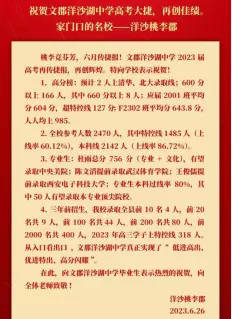 文郡洋沙湖中学是私立学校还是公立(2)