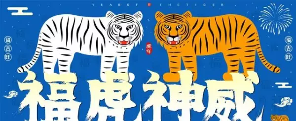 12月份属虎人的命运怎么样(3)