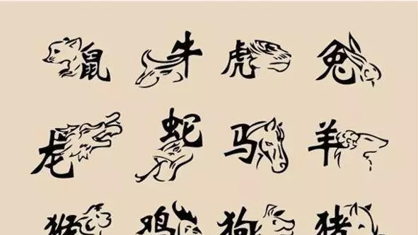 婚配属相不合是不是就是八字不合呢(1)