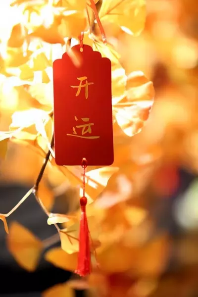 1999年的兔未时出生的人命运怎么样(4)