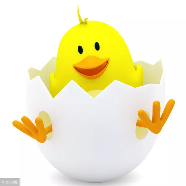 梦见一群黑鸡仔是什么意思周公解梦女人(1)