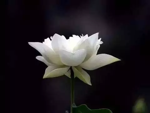 天地香什么意思 预兆 解释(2)
