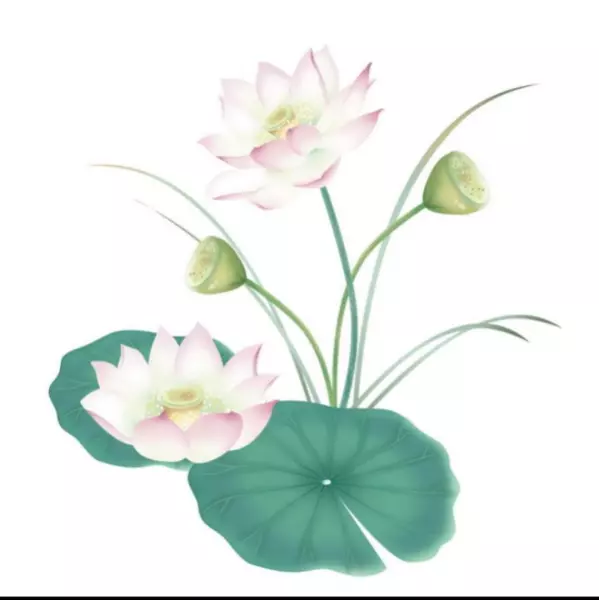 初中生做梦梦到算命先生给我算命好不好呢(3)