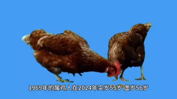 69年农历4月15日生人今年运势如何呢(1)