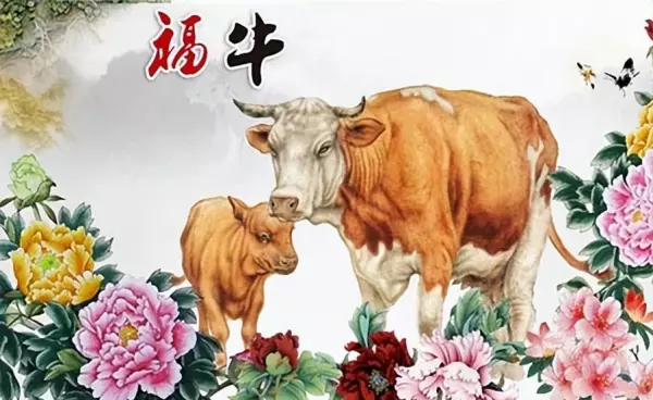 属牛人遇兔年2023运势如何(1)