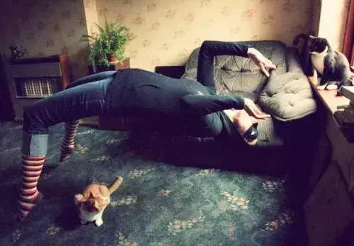 梦见猫抓住一窝老鼠是什么意思周公解梦女(1)