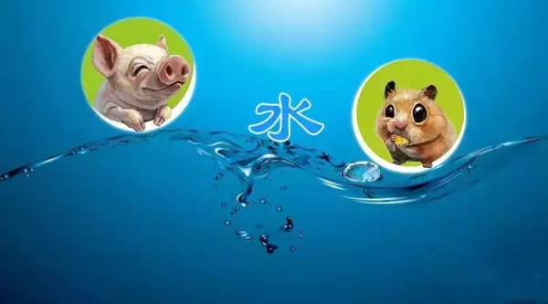 五行代表的数字有什么用(2)