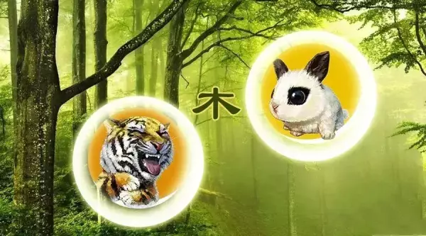 五行代表的数字有什么用(3)