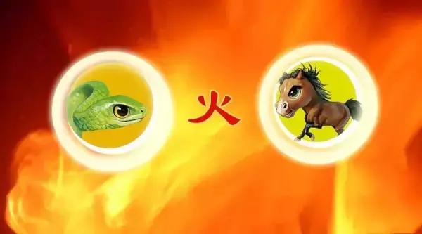 五行代表的数字有什么用(4)