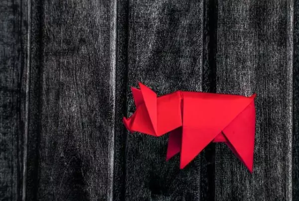 2023年属猪男的事业运势在几月份好些呢(4)