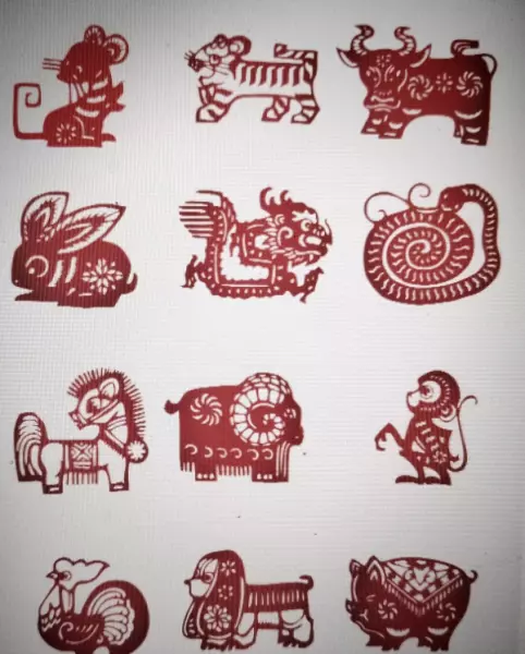 立春代表什么生肖动物意思(7)