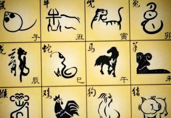 立春代表什么生肖动物意思(8)