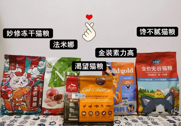 家里养黑猫好不好有没有什么说法(10)