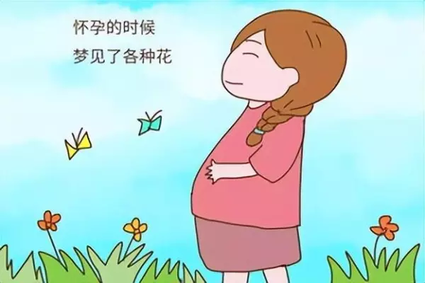 孕妇做梦梦到白色的公鸡什么意思啊周公解梦(1)