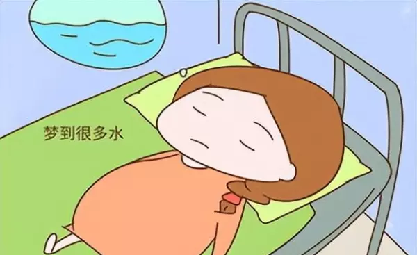 孕妇做梦梦到白色的公鸡什么意思啊周公解梦(2)