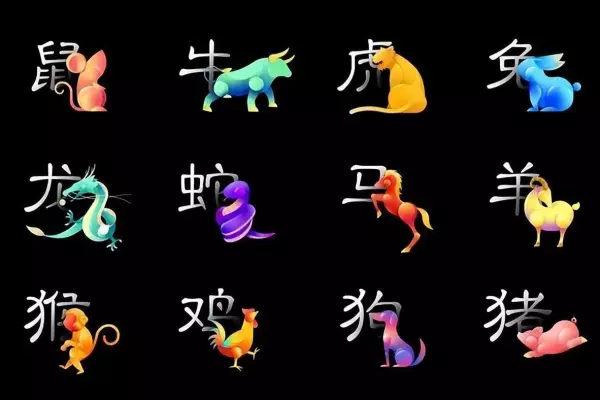 同年同月同日生的人结婚好吗(11)