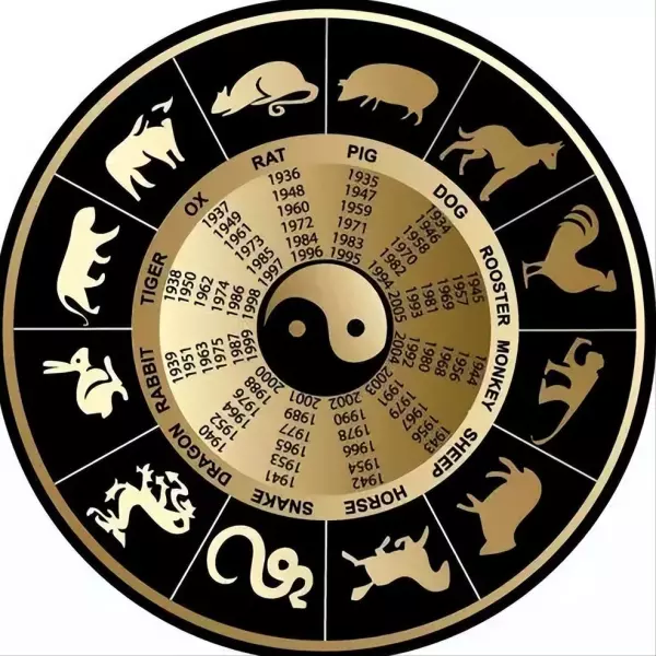 同年同月同日生的人结婚好吗(12)
