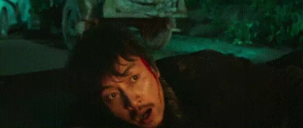 冰雨火勐卡是哪个国家(6)